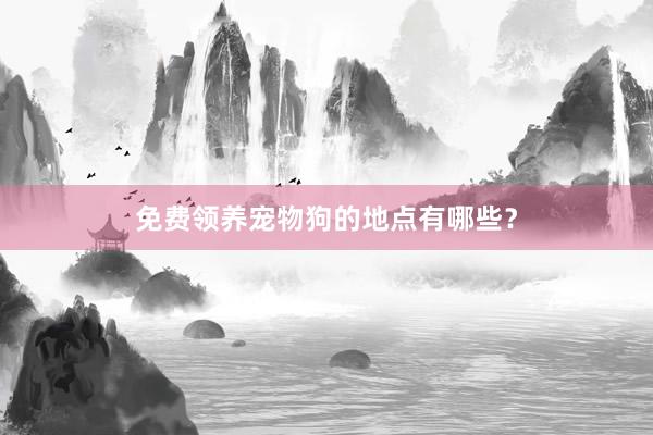 免费领养宠物狗的地点有哪些？