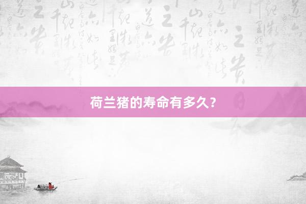 荷兰猪的寿命有多久？