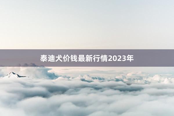 泰迪犬价钱最新行情2023年